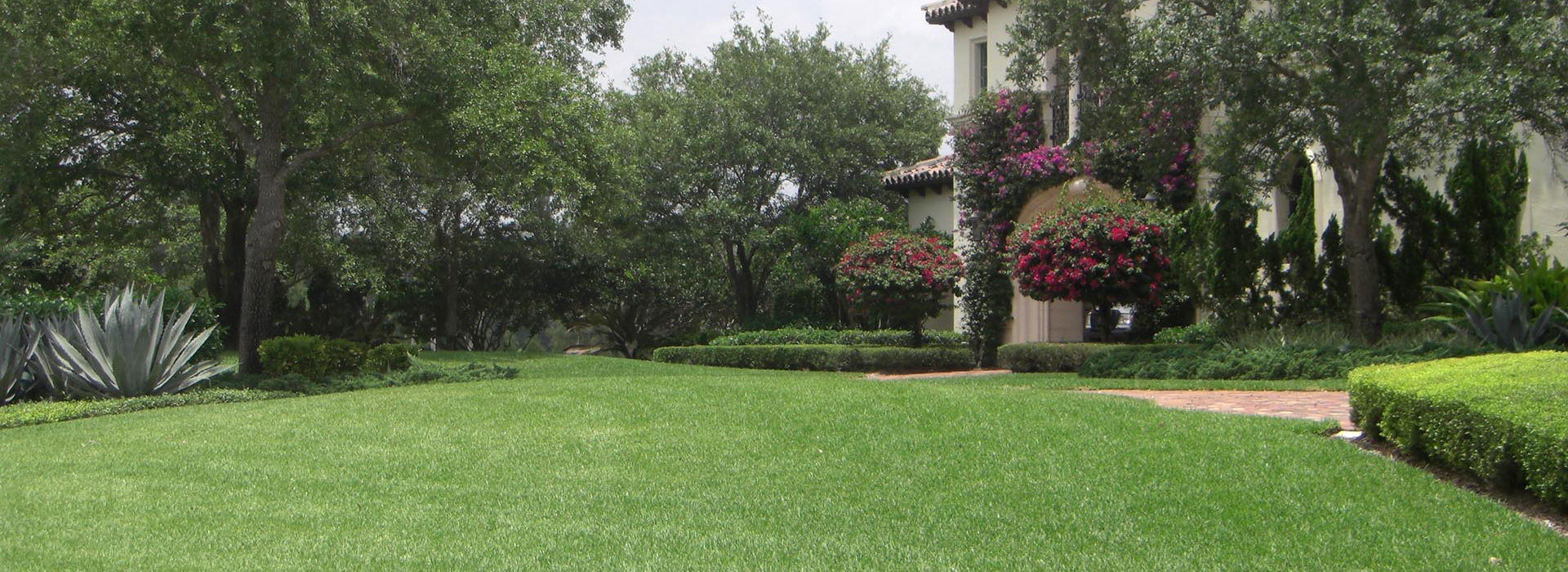 Landscaping Transformation